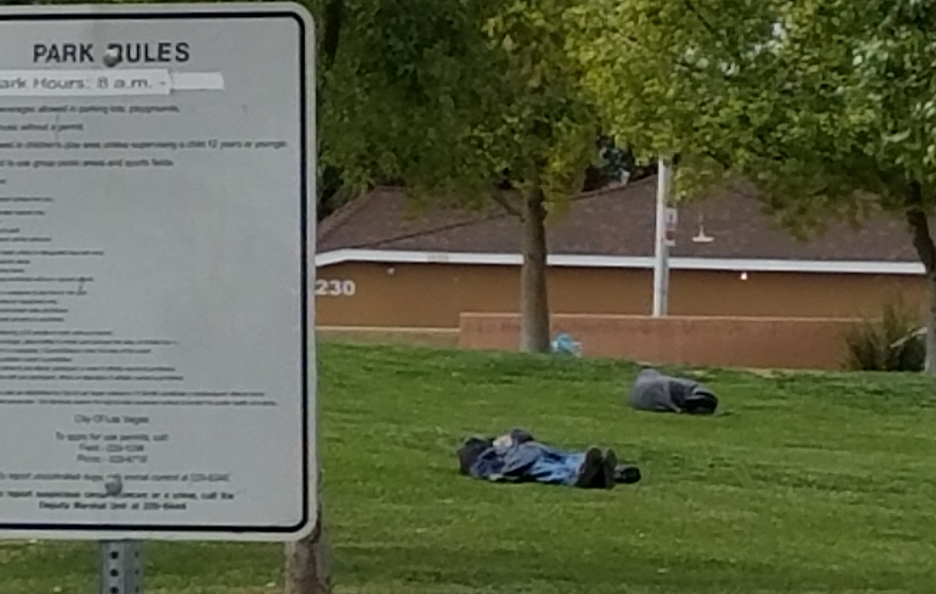 Homeless Sleeping in the Park