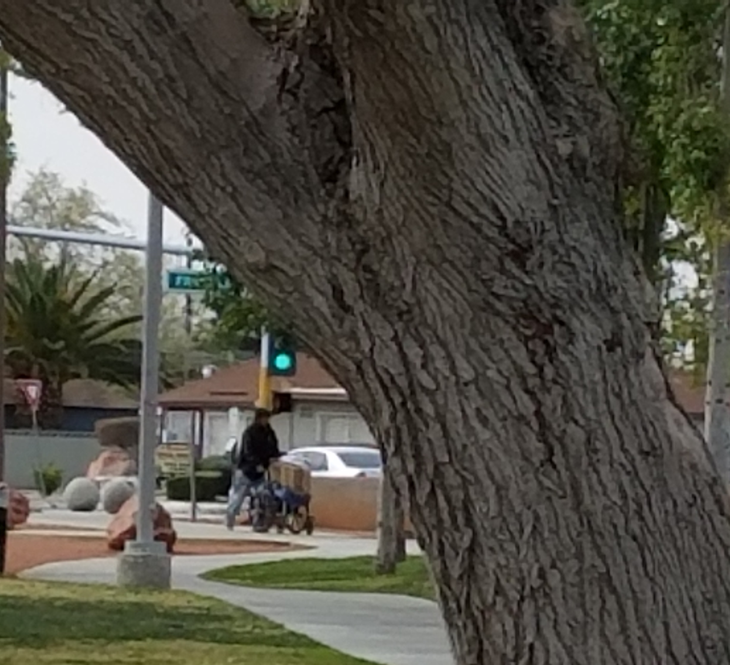 Homeless coming into the Park for the Day