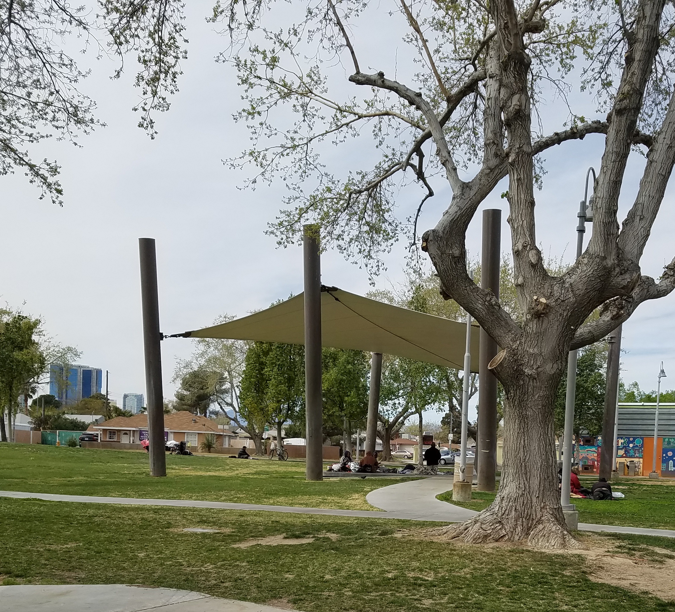 Homeless in the Park