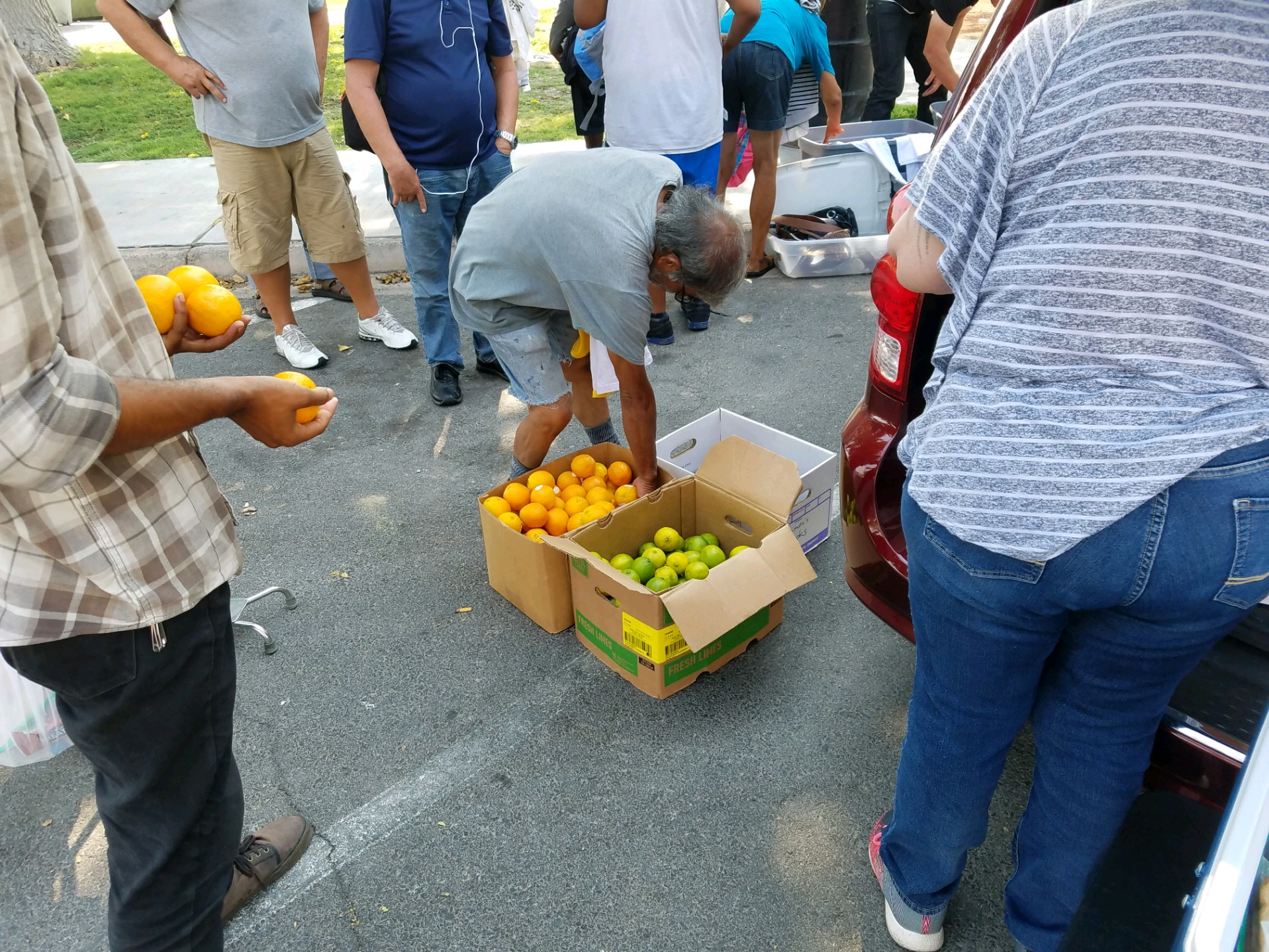 8-11-18 A treat to add to their meal. Oranges and Limes